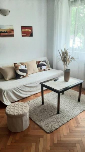 Apartament central Adina